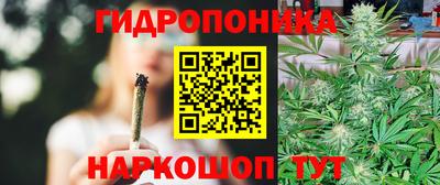 прущая мука Магадан