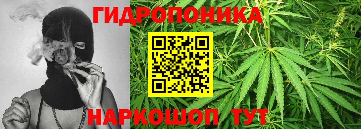 Шишки марихуана White Widow Реутов